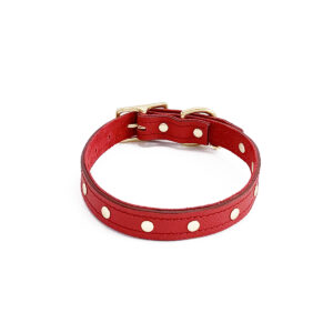 CAYENNE STUDDED CLASSIC COLLARS