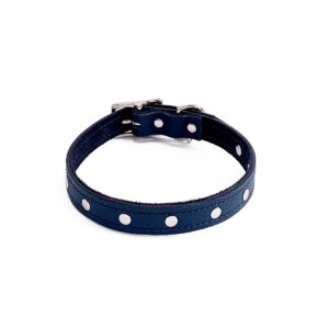 ORION BLUE STUDDED CLASSIC COLLARS