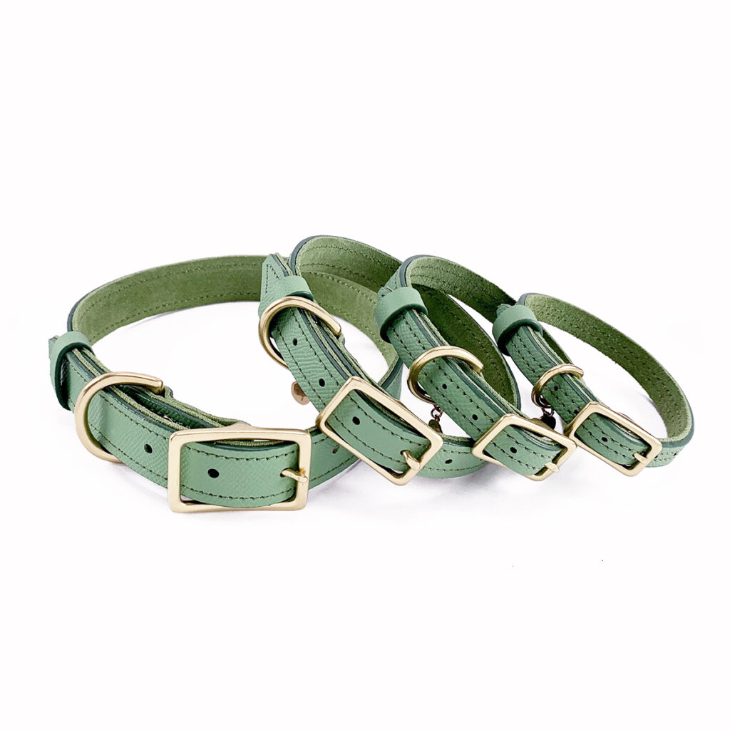 Basil Leather Dog Collar Poppy & Payson