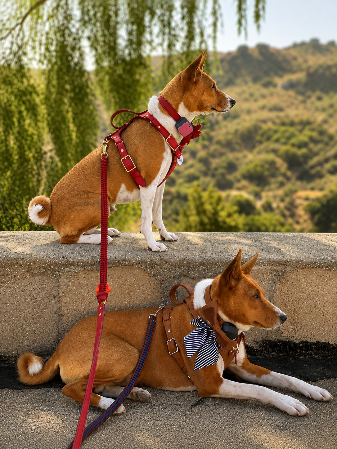 red-harness-lifestyle-under-1mb