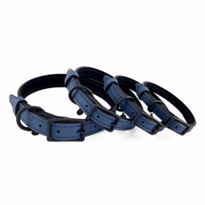 ORION BLUE AND BLACK CLASSIC COLLARS