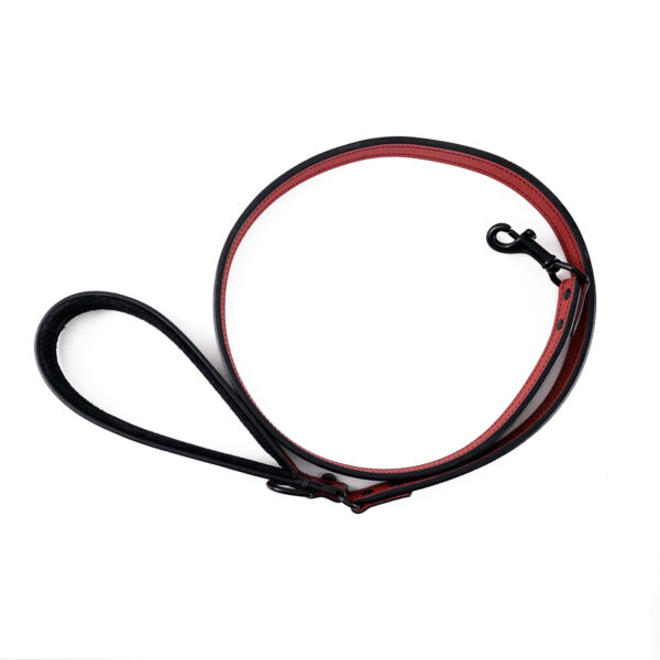 red and black leather leash rolled top view
