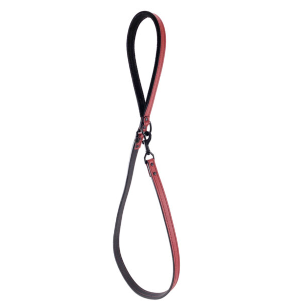 red and black leather leash hanging