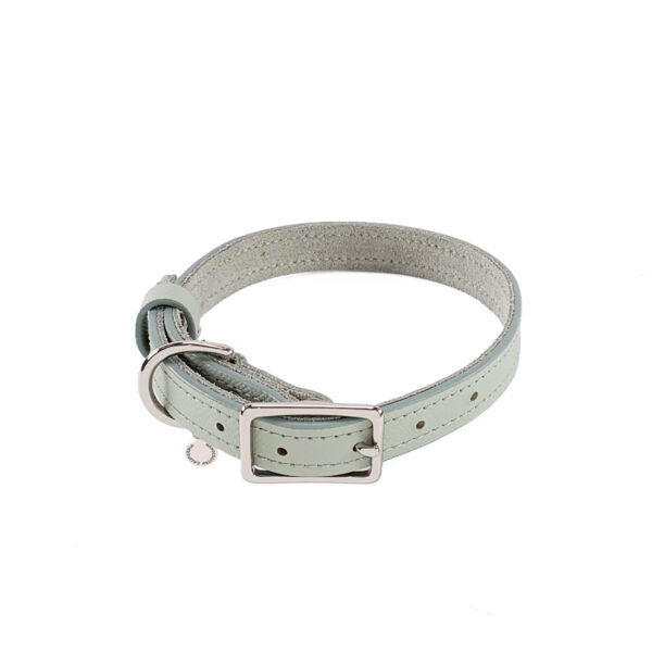 desert sage leather dog collars large front view