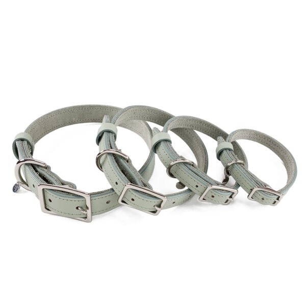 desert sage leather dog collars stacked in four different sizes