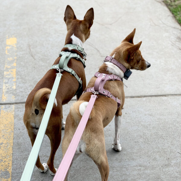 poppy & payson wearing desert sage and pink dog accessories side view