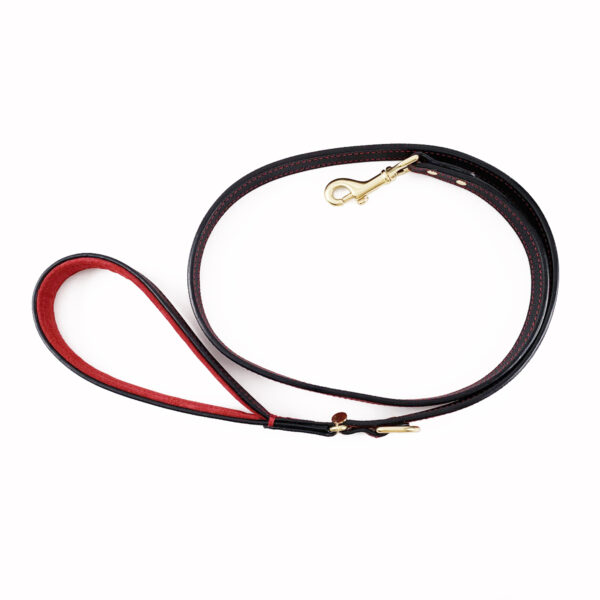 black and red padded handle dog leash rolled