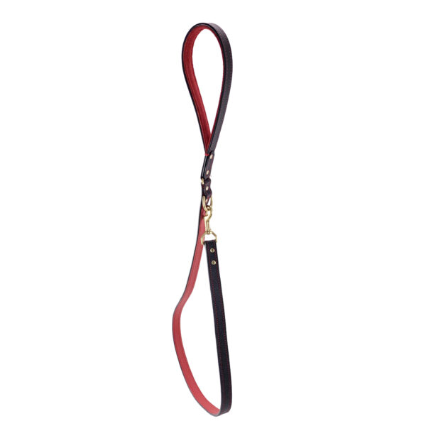black and red leather dog leash hanging