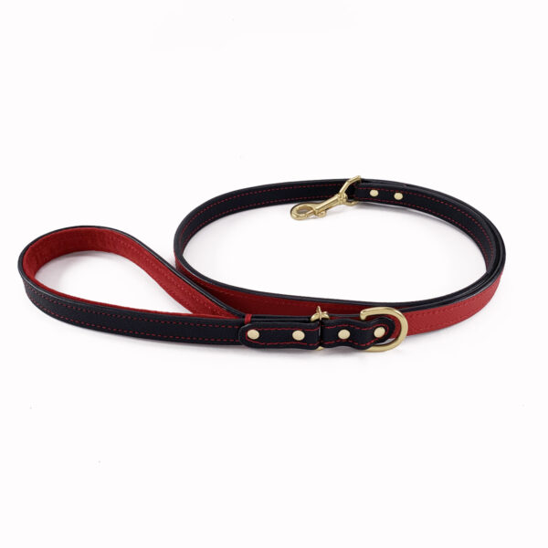 black and red padded handle dog leash rolled front view