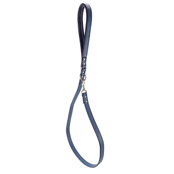 navy blue leather leash hanging