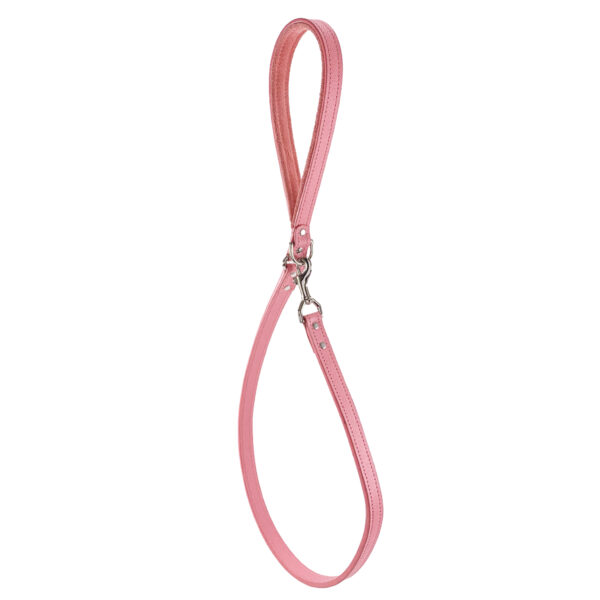 pink leather dog leash hanging with padded handle
