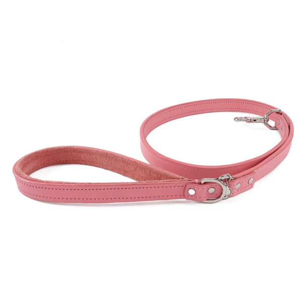 pink leather dog leash rolled