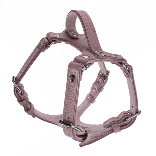 mauve leather dog harness front view