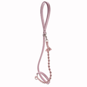 mauve leather dog leash with paracord braided add on hanging