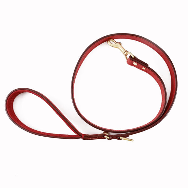 red padded handle leather leash rolled