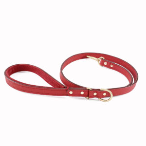 red padded handle leather leash rolled front view