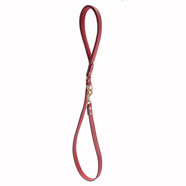 red padded handle leather leash hanging