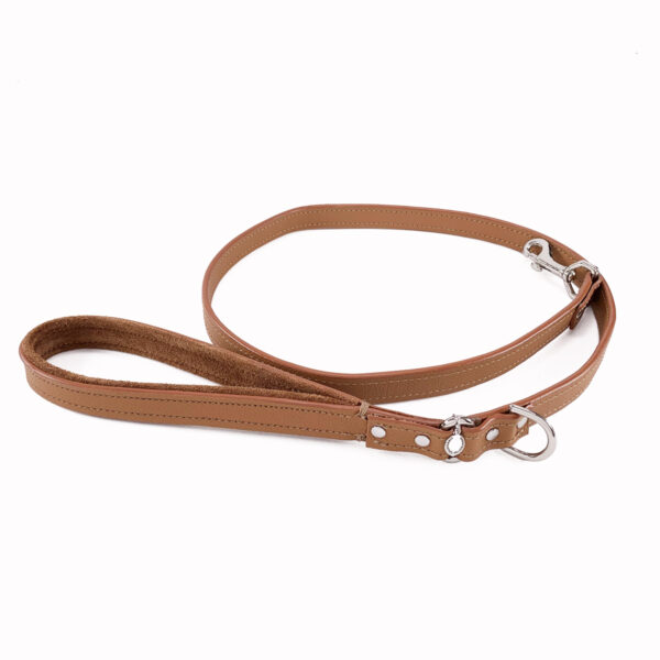 tan leather leash rolled