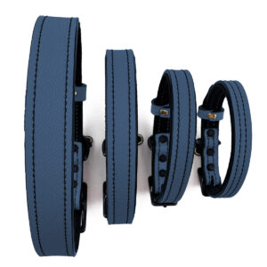 Navy Blue and Black