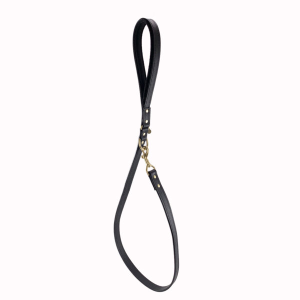 black leather leash hanging