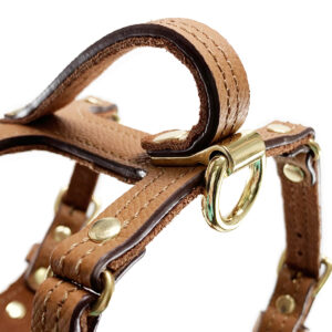 tan leather harness hook close up