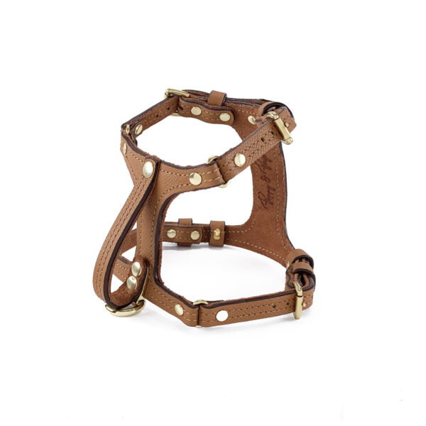 tan leather harness standing front view
